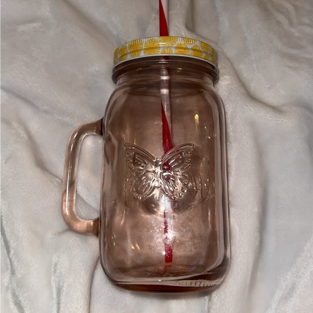 Large Pioneer Woman Mason Jar Drinking Glass